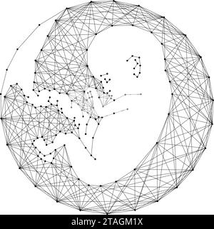 Embryo, menschlicher Fetus im Mutterleib, aus abstrakten futuristischen polygonalen schwarzen Linien und Punkten. Vektorabbildung. Stock Vektor