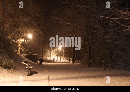 Erster Winter: Großer Schneefall in Dobra voda bei Ceske Budejovice, Tschechische Republik, 1. Dezember 2023. (CTK Foto/Jan Honza) Stockfoto