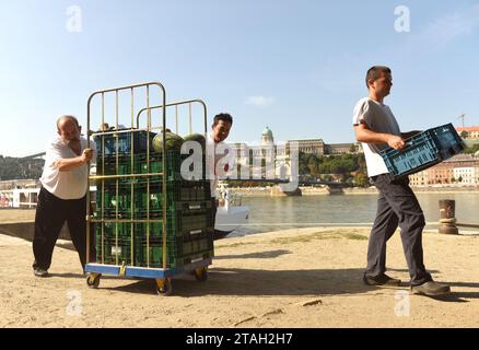 Budapest, Ungarn - 29. August 2017: Arbeiter am Damm in Budapest. Stockfoto