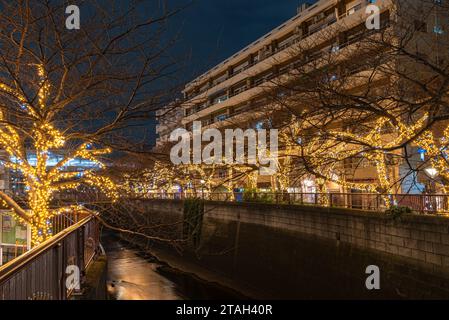 Meguro Fluss winter Beleuchtung Festival, schöne Aussicht, Sehenswürdigkeiten, Reiseziele für Urlaub, berühmten romantischen Leuchten sogar Stockfoto