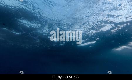 Sehen Sie unter dem Meeresboden, während Sonnenlicht durch die Wasseroberfläche eindringt. Sehen Sie zu, wie aufsteigende Luftblasen in der sanften Beleuchtung funkeln und schimmern Stockfoto