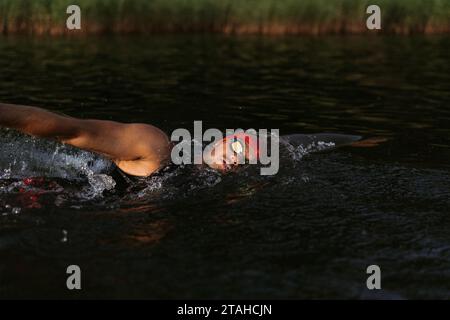 Professioneller Schwimmer in einem Neoprenanzug schwimmt im offenen Wasser auf einem See. Stockfoto