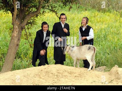 UMAN, UKRAINE - 20. SEPTEMBER 2009: Orthodoxe jüdische Pilger in Uman, Ukraine während der Feier Rosch Hashana, das jüdische Neujahr in Uman, Ukraine. Stockfoto