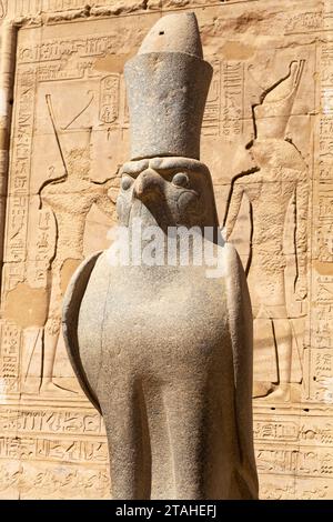 Horus-Felsenstatue mit Mauer mit Hieroglyphen, Edfu-Tempel Stockfoto