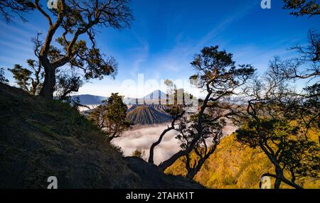 Fantastischer Vulkan Mount Bromo während des sonnigen Himmels vom Aussichtspunkt King kong auf dem Berg Penanjakan im Bromo Tengger Semeru Nationalpark, Ost-Java, Indonesien Stockfoto