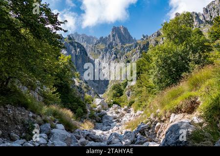 Eine malerische Landschaft mit zerklüftetem bergigem Gelände und üppigem Grün Stockfoto