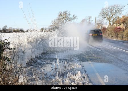 2023. Wetter im Vereinigten Königreich. Während die Temperaturen unter dem Gefrierpunkt andauern, wurden diese Büsche in Eis von Sprühnebel auf einem überfluteten Abschnitt der A68 in der Nähe von Bishop Auckland, County Durham, Nordostengland eingeschlossen. Quelle: David Forster/Alamy Live News Stockfoto