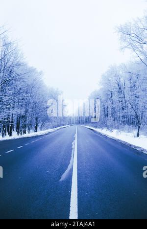 Gefrorener Wald, schöner Winter, kristallklarer Schnee auf den Bäumen, Kälte und Schönheit Stockfoto