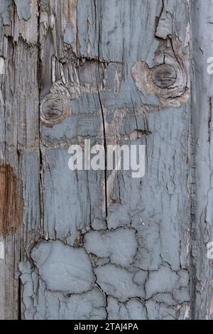 Abstrakte Detailnahmebildung eines grauen, verwitterten, gemalten, gerissenen, strukturierten, abziehende Holztür am Eingang zu einem Haus in der Toskana, Italien. Stockfoto