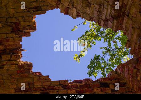 Durch den zerstörten gewölbten Tresor kann man den Himmel und einen grünen Lichtstrahl sehen. Attraktivität und ästhetischer Wert der Ruinen Stockfoto