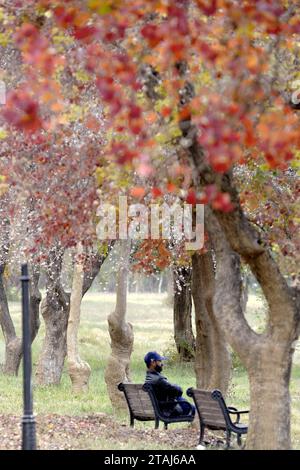 Islamabad, Pakistan. Dezember 2023. Ein Mann sitzt am 1. Dezember 2023 im Fatima Jinnah Park in Islamabad, der Hauptstadt Pakistans. Quelle: Ahmad Kamal/Xinhua/Alamy Live News Stockfoto