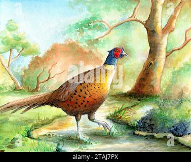Aquarellmalerei eines Fasans, der zwischen den Bäumen in einer Landlandschaft spaziert. Traditionelle Illustration auf strukturiertem Papier. Stockfoto