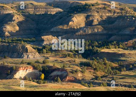 Badlands von Buck Hill, Theodore Roosevelt National Park-South Einheit, North Dakota Stockfoto