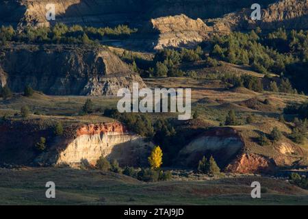 Badlands von Buck Hill, Theodore Roosevelt National Park-South Einheit, North Dakota Stockfoto