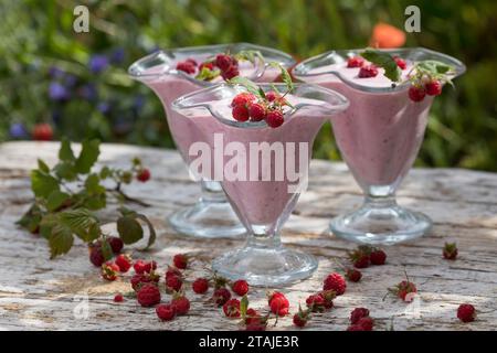 Himbeer-Softeis, Eis, Himbeereis, Soft-Eis, Sofeis, Eis selbermachen aus Naturjoghurt, Quark, Früchten, Wildfrüchten, Banane, Vanillezucker. Schritt 4 Stockfoto