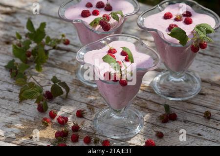 Himbeer-Softeis, Eis, Himbeereis, Soft-Eis, Sofeis, Eis selbermachen aus Naturjoghurt, Quark, Früchten, Wildfrüchten, Banane, Vanillezucker. Schritt 4 Stockfoto