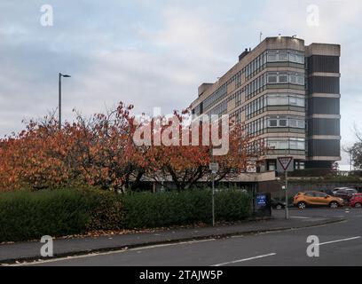 Motherwell Civic Centre mit Kirschbäumen in herbstlichen Farben Stockfoto