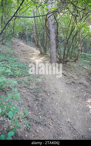 Die bosnische Pyramide in Visoko, was einige eine antike Pyramide nennen und was andere einen Hügel nennen Stockfoto
