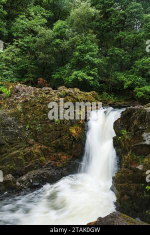 Skelwith Force am Fluss Brathay bei Skelwith Bridge, Lake District, Cumbria, England Stockfoto