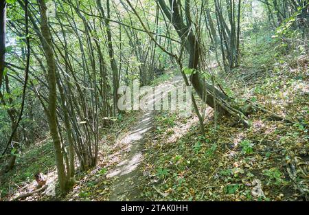 Die bosnische Pyramide in Visoko, was einige eine antike Pyramide nennen und was andere einen Hügel nennen Stockfoto