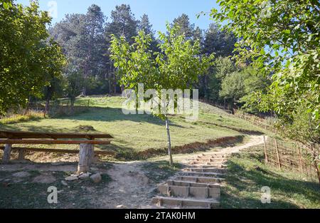 Die bosnische Pyramide in Visoko, was einige eine antike Pyramide nennen und was andere einen Hügel nennen Stockfoto