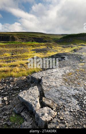 Bett aus dunklem Kalkstein, bekannt als „Frosterley Marble“ in der Nähe von Stanhope, Weardale, County Durham, England Stockfoto