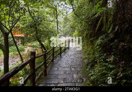 Golden Whip Stream im Zhangjiajie National Forest Park, Hunan, China Stockfoto