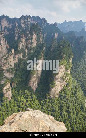 Das Gebiet von Yangjiajie im Zhangjiajie National Forest Park, Hunan, China Stockfoto