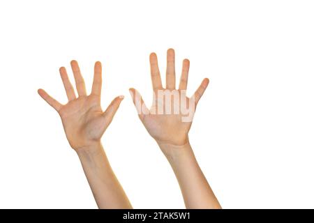 Zwei offene Hände mit zehn Fingern, Zahlen, Hände hoch, weißer Hintergrund Stockfoto