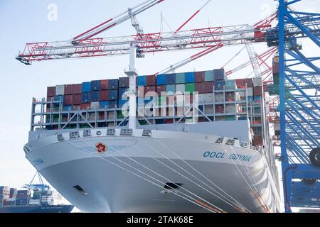 Danzig, Polen. 1. Dezember 2023. Eines der neuesten und größten Containerschiffe der Orient Overseas Container Line, OOCL Gdynia, in Baltic Hub, ehemaliger Deepwater Container Terminal DCT © Wojciech Strozyk / Alamy Live News Stockfoto