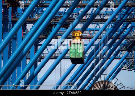 Danzig, Polen. 1. Dezember 2023. Eines der neuesten und größten Containerschiffe der Orient Overseas Container Line, OOCL Gdynia, in Baltic Hub, ehemaliger Deepwater Container Terminal DCT © Wojciech Strozyk / Alamy Live News Stockfoto