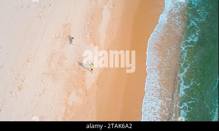 Hochwinkelaufnahme einer jungen Frau, die mit dem Hund am Meer entlang geht. Atemberaubende Meereslandschaft. Stockfoto