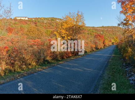 Herbstfarben vor Sonnenuntergang auf einer Straße auf einem Karstplateau in der italienischen Provinz Gorizia Stockfoto