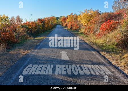 Landstraße in Herbstfarben mit einem Schild auf Asphalt, das die Fahrtrichtung in Richtung einer grünen Revolution anzeigt Stockfoto