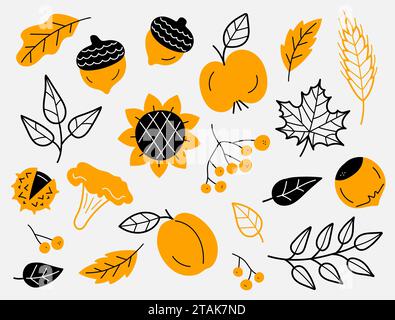 Set mit Elementen für die Herbsternte. Blätter, Beeren, Obst, Gemüse, Pilze, Eicheln. Handgezeichnet, skizzieren. Vektorillustration im Doodle-Stil. Stock Vektor