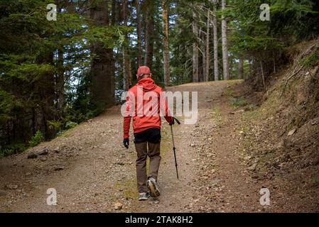 Route - Route durch den Riu-Tannenwald, vom Serrat de les Esposes, im Moixeró-Gebirge (Cerdanya, Katalonien, Spanien, Pyrenäen) Stockfoto