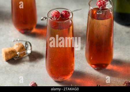 Spritzig spritzig erfrischend Cranberry Mimosa mit Champagner Stockfoto
