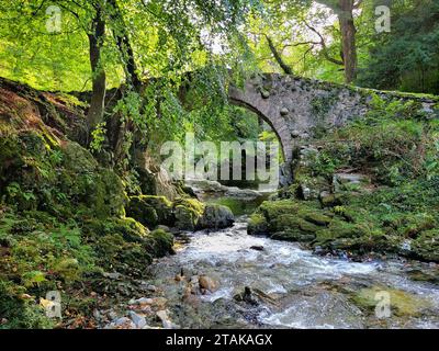 Herbstbild der 1787 erbauten Foley's Bridge im Tolleymore Forest Park in Nordirland. Stockfoto