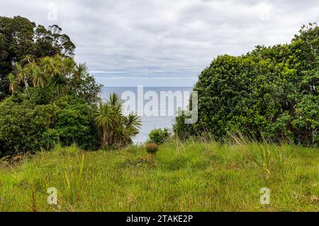 Blick auf das Meer vom Knights Point auf der Westseite der Südinsel Neuseelands Stockfoto