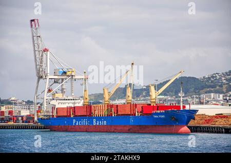 Tiawai Point Bulk Carrier Loading Logs in Wellington Harbour, Wellington Region, Nordinsel, Neuseeland Stockfoto