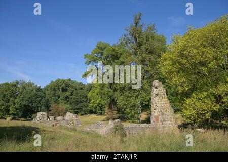 Ruine, ehemalige Wassermühle, Kloster Chorin, Landkreis Barnim, Brandenburg, Deutschland Stockfoto