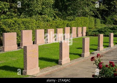 Grabsteine, Gedenkstätte Seelower Höhen, Seelow, Landkreis Märkisch-Oderland, Brandenburg, Deutschland Stockfoto