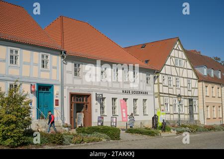 Straßenszene, Altbauten, Haus Uckermark, Hoher Steinweg, Altstadt, Angermünde, Brandenburg, Deutschland Stockfoto