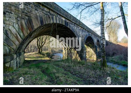 Eisenbahnbrücke in Copley Stockfoto