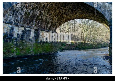 Eisenbahnbrücke in Copley Stockfoto