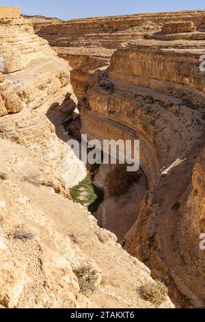 Tozeur, Tunesien. Eine tiefe enge Schlucht in der tunesischen Wüste. Stockfoto
