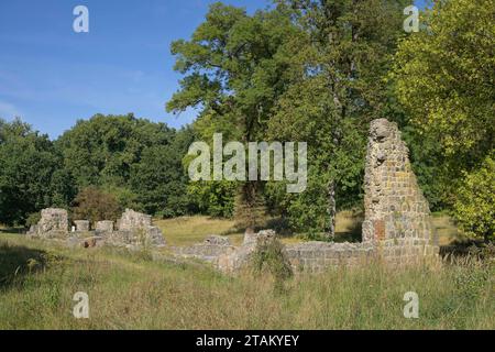 Ruine, ehemalige Wassermühle, Kloster Chorin, Landkreis Barnim, Brandenburg, Deutschland *** Ruine, ehemalige Wassermühle, Kloster Chorin, Bezirk Barnim, Brandenburg, Deutschland Credit: Imago/Alamy Live News Stockfoto