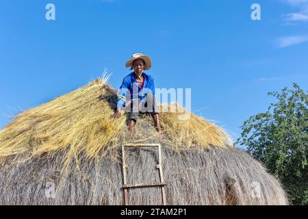 afrikanerin kletterte, um ein Strohdach auf einer Hütte zu reparieren Stockfoto