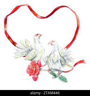 Weiße Tauben mit rotem Band. Aquarellabbildung auf weißem Hintergrund. Valentinstag-Grußkarten, Hochzeitseinladungen, Textvorlage. Stockfoto