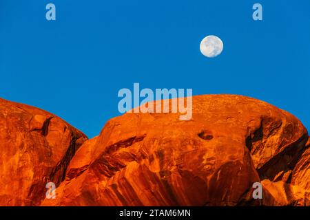 Monduntergang über Parade der Elefanten Felsformation bei Sonnenaufgang im Arches National Park in Utah. Stockfoto